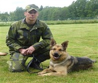 Patrullhund Försvarsmakten