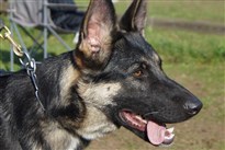 Mara
