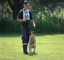 Securitas SM 2013