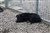 DSC07283.JPG